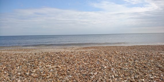 Horizon scanning